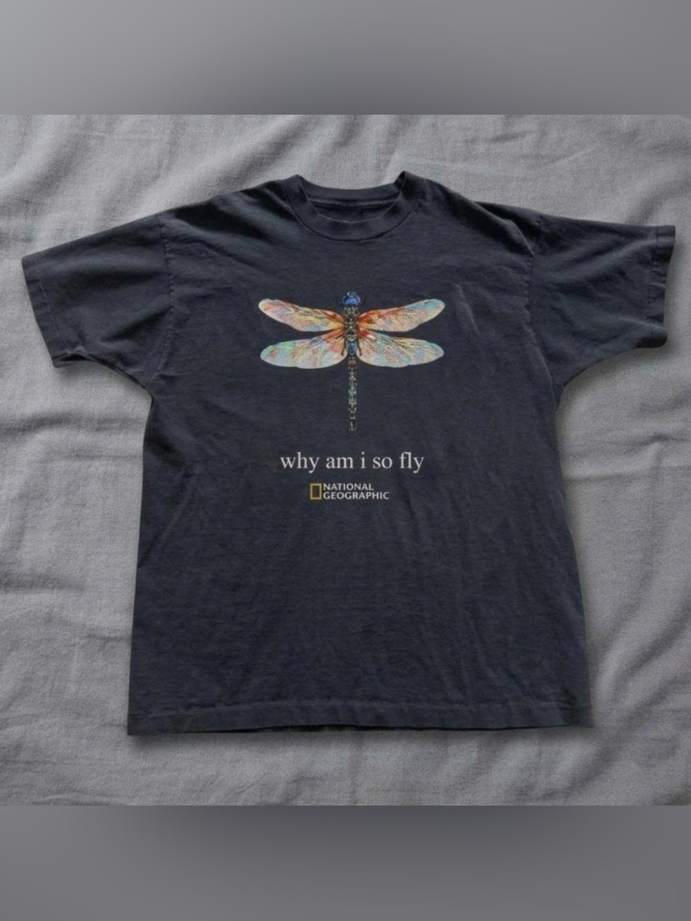 Vintage Dragonfly Graphic Tee, Y2K Nature Inspired Butterfly Style Shirt